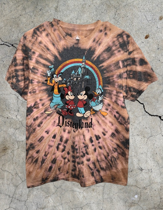 Disney Land 1 of 1 - Medium