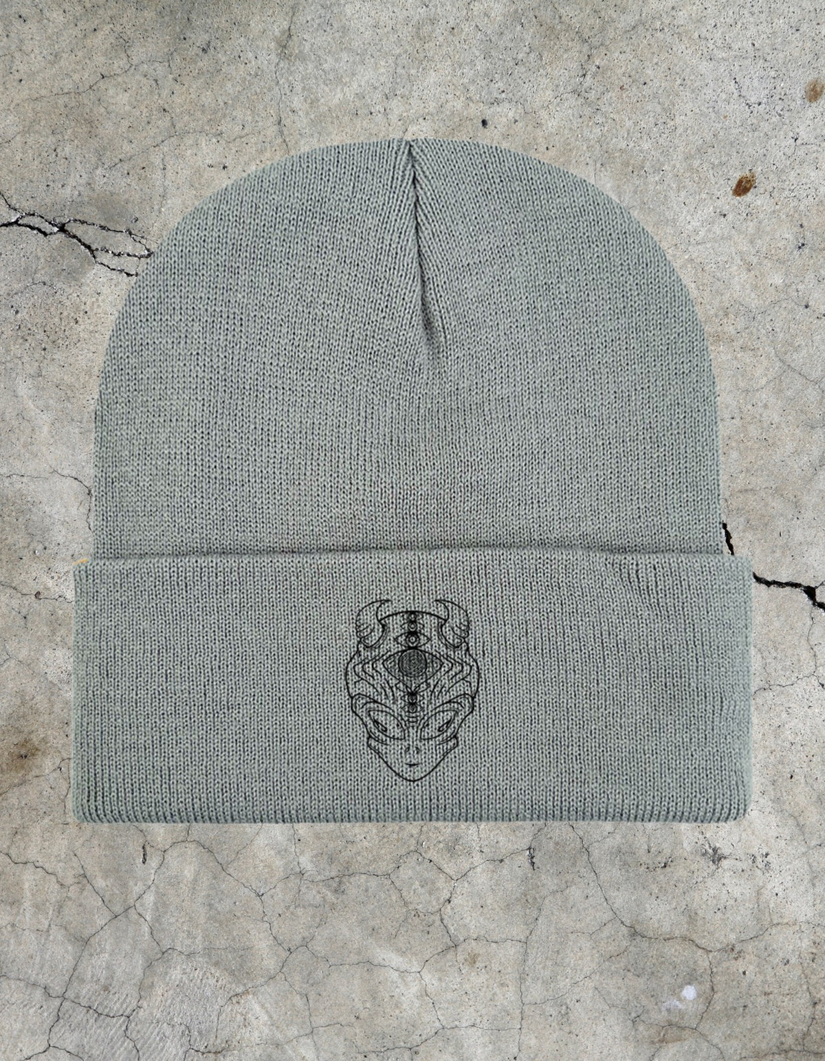 Alien Logo Knit Beanie - Grey